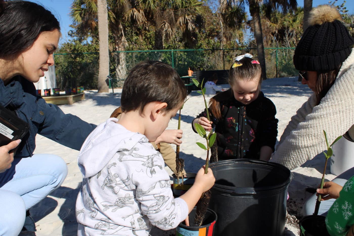 Kids potting mangroves outside