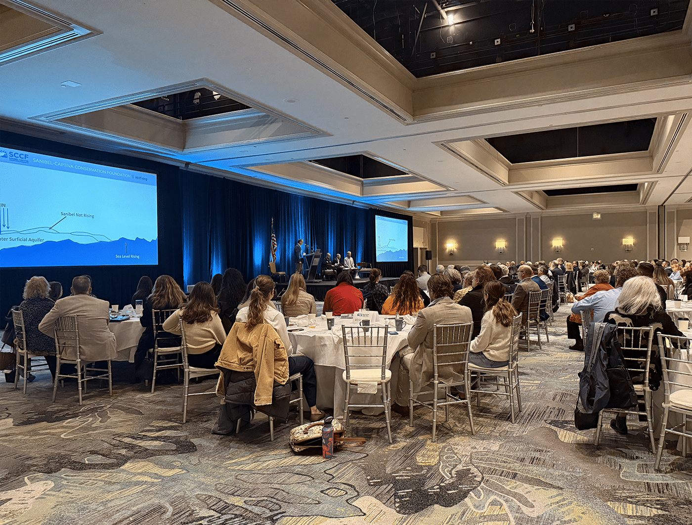 state of the islands crowd