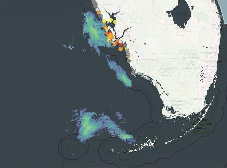 Red Tide Composite 2.11.25