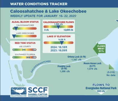 Screen Shot 2025 02 03 At 9.27.48 AM