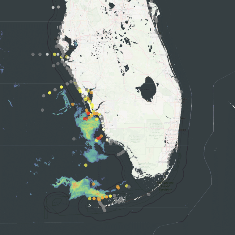 red tide noaa satellite map