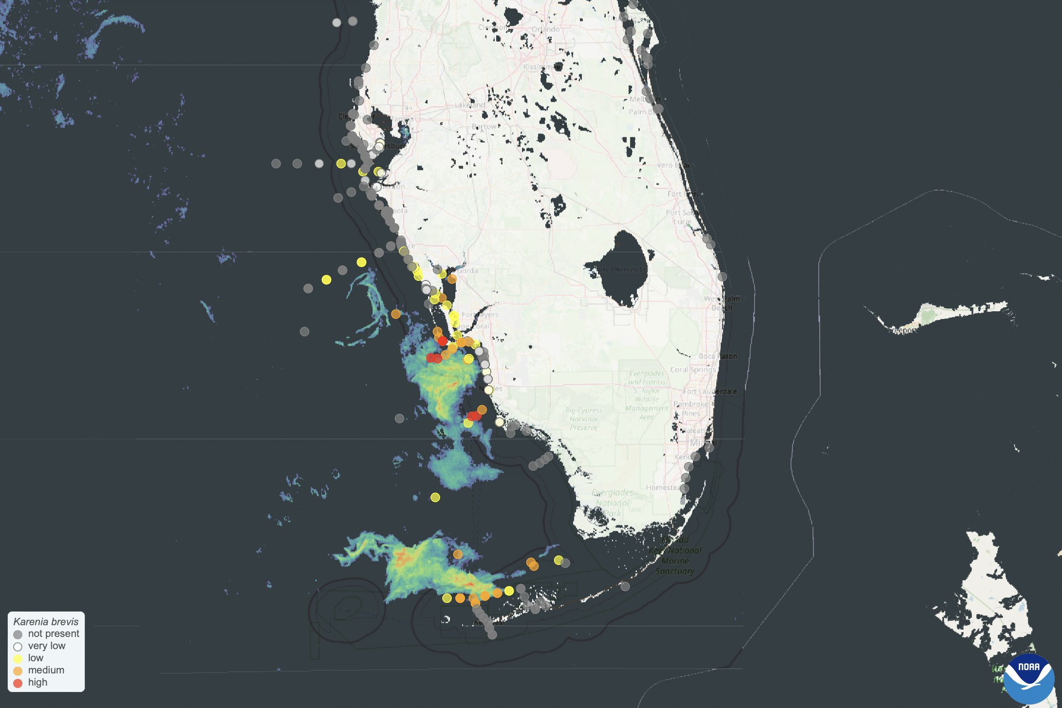 red tide noaa satellite map