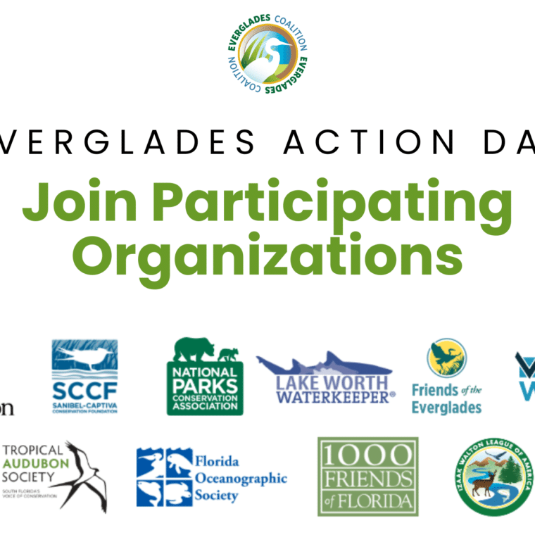 everglades action day 2025