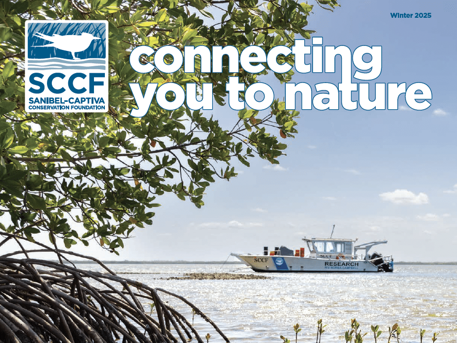 Screen Shot 2025 03 20 At 3.36.39 PM