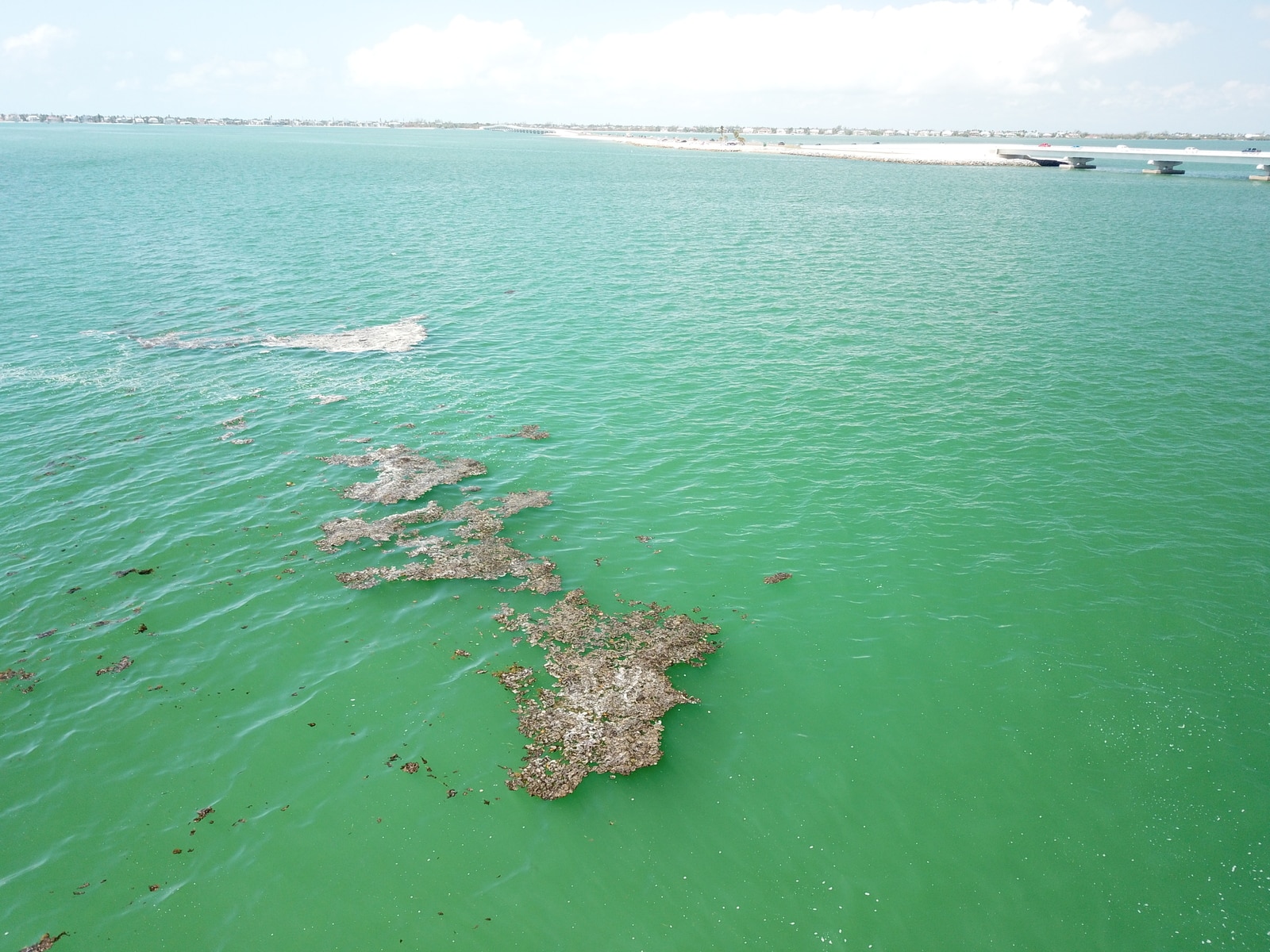 Large Mats With Causeway May 2025 Resize