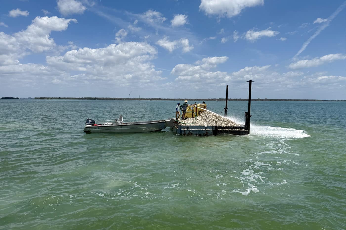 oyster restoration san Carlos bay