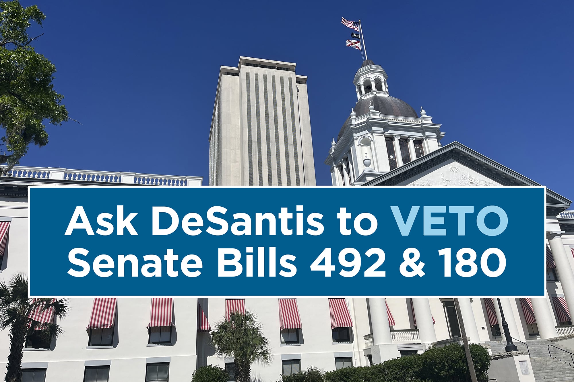 Action Alert 492 180 600x400