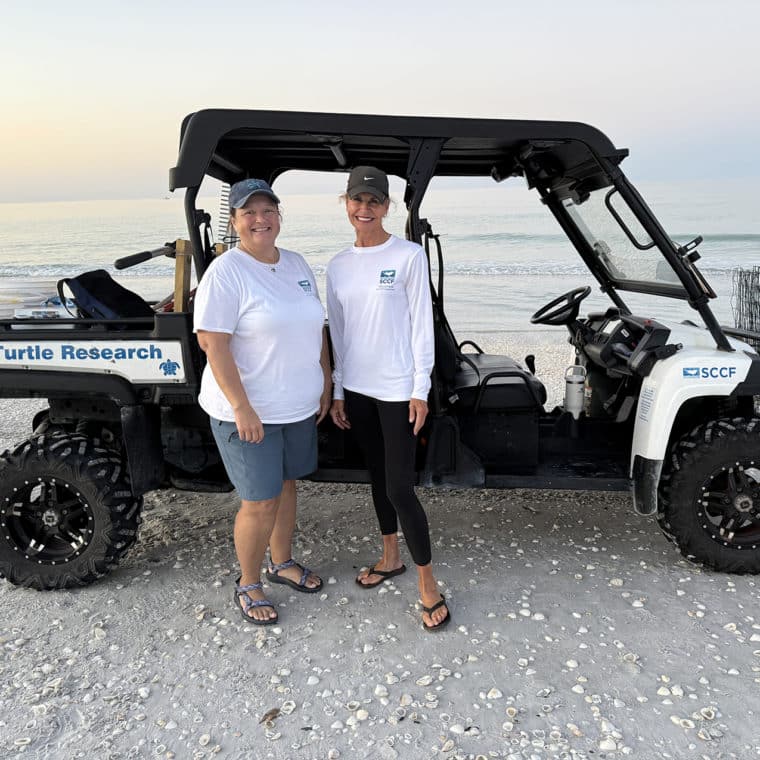 sea turtle volunteers
