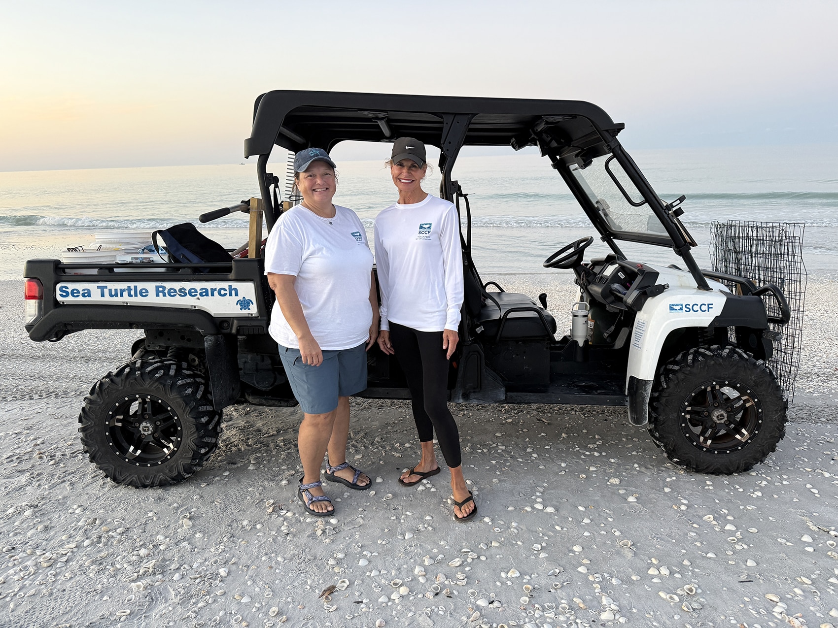 sea turtle volunteers
