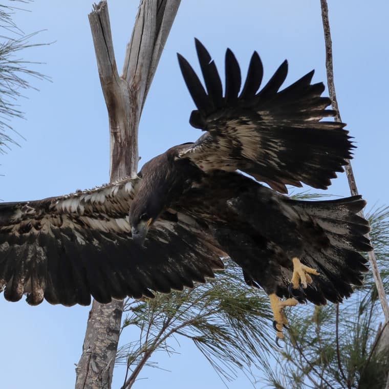 Photo by Cheri Hollis