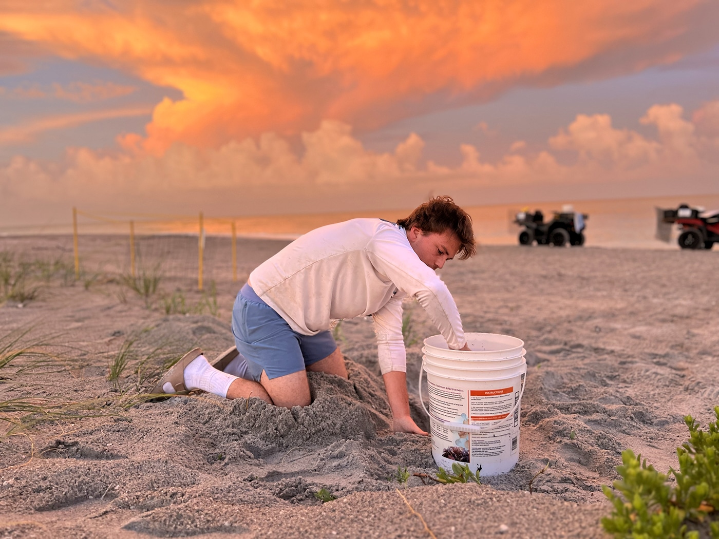 captiva nest relocation sea turtles
