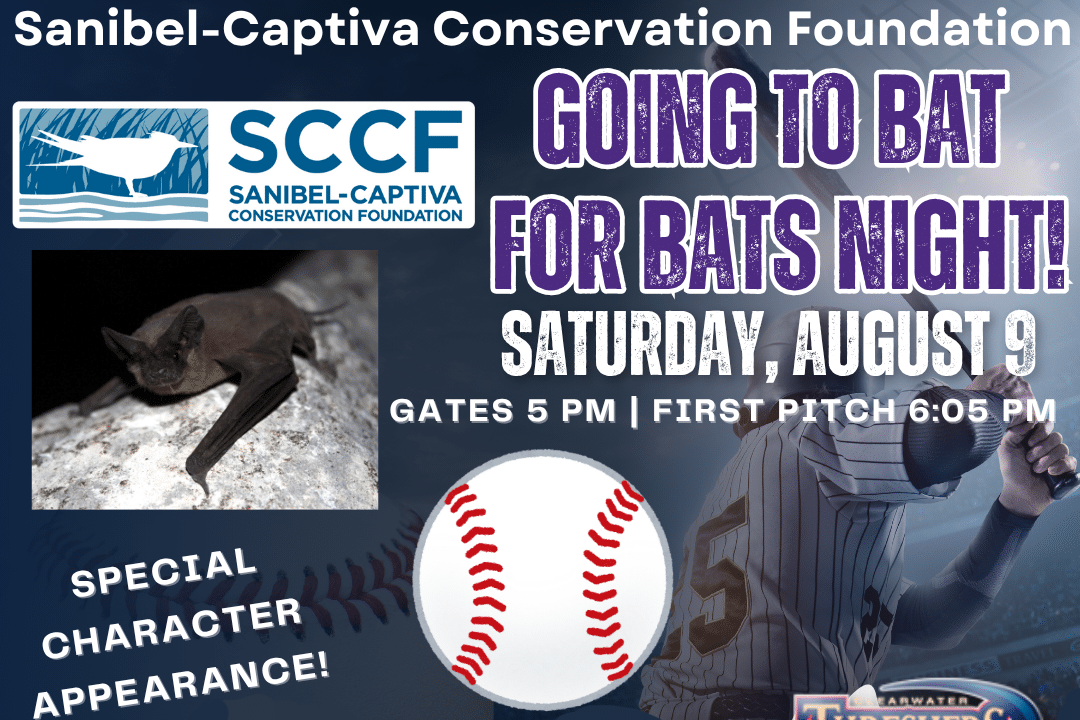 Going to bat for bats