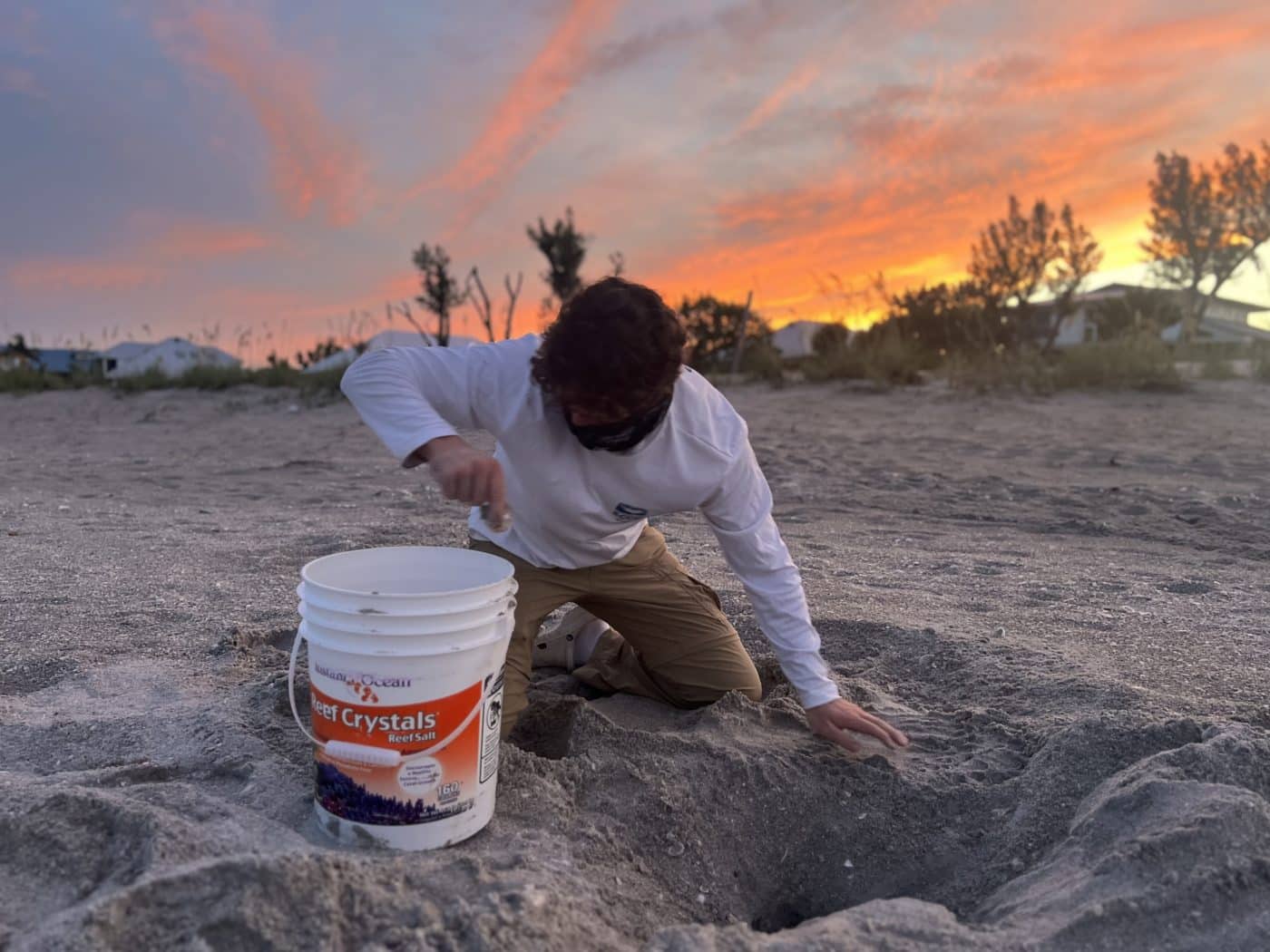 sccf staff member relocating sea turtle nest on captiva island 