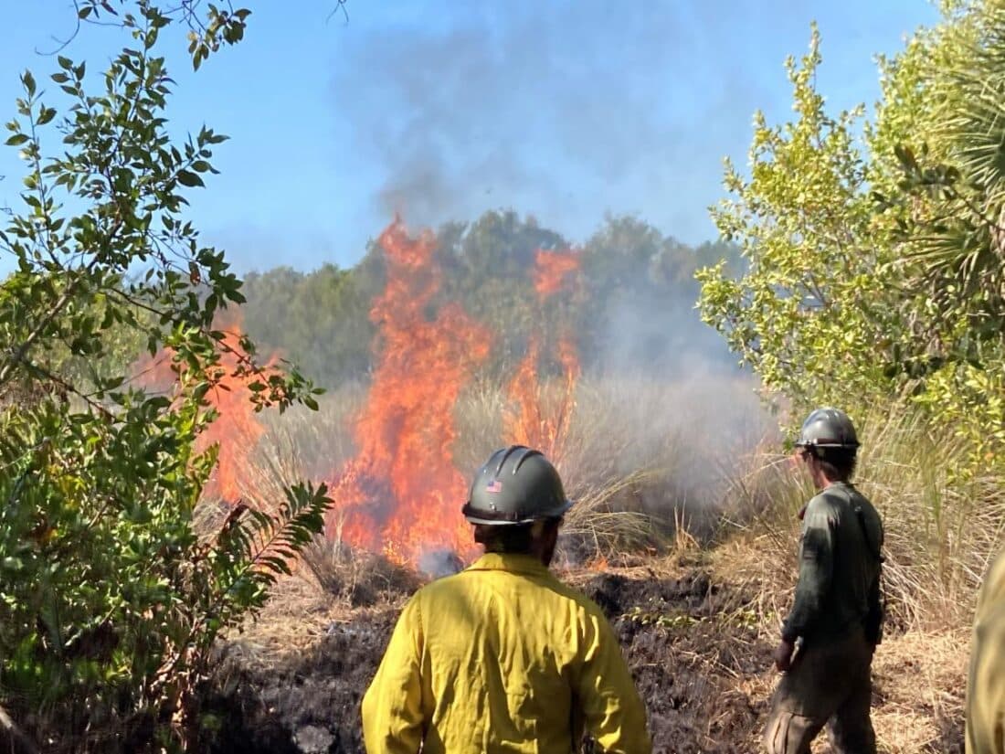 PRESCRIBED BURN UPDATE 1100x825