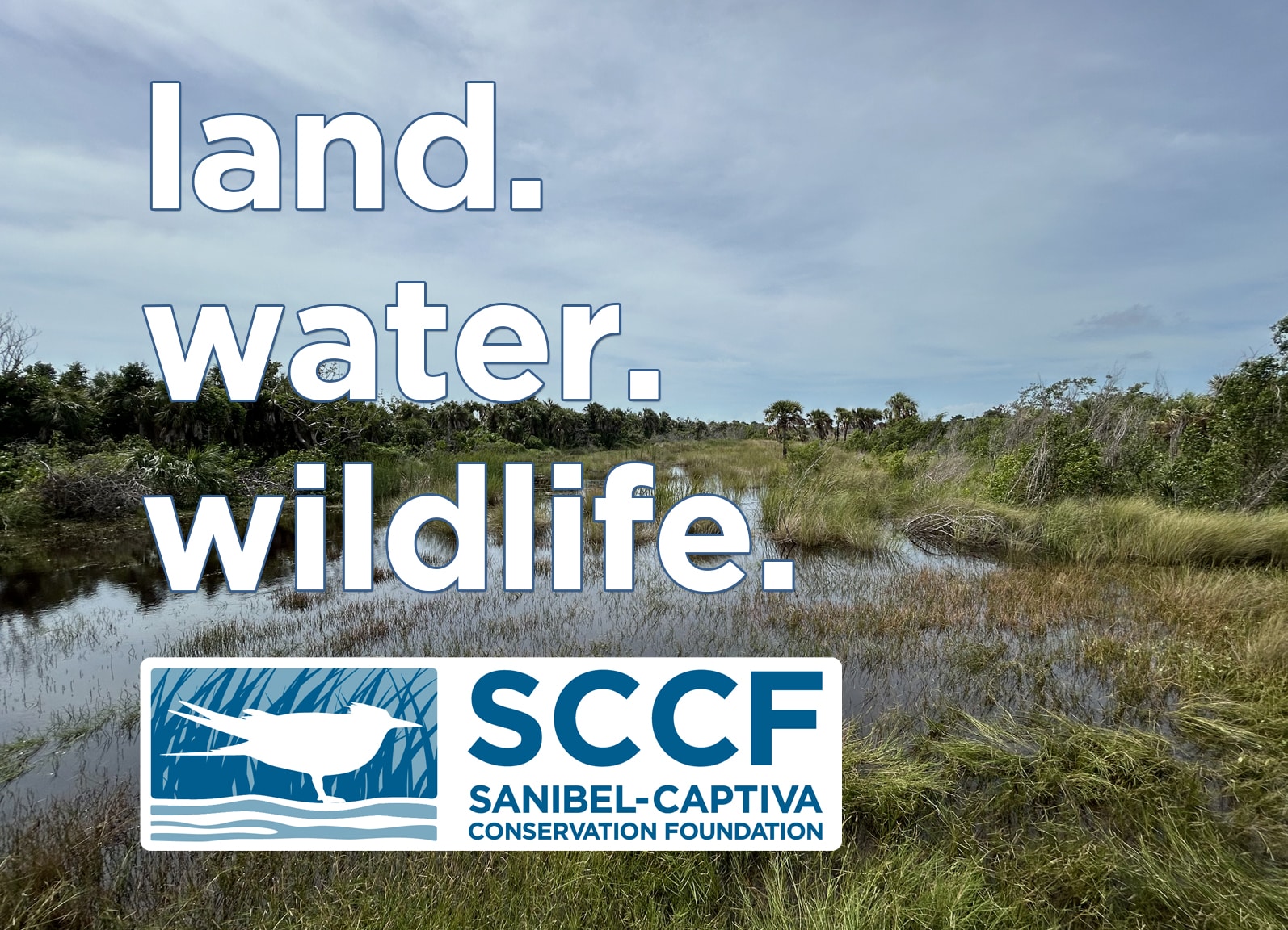 Land Water Wildlife Podcast Graphic Template Standing Water