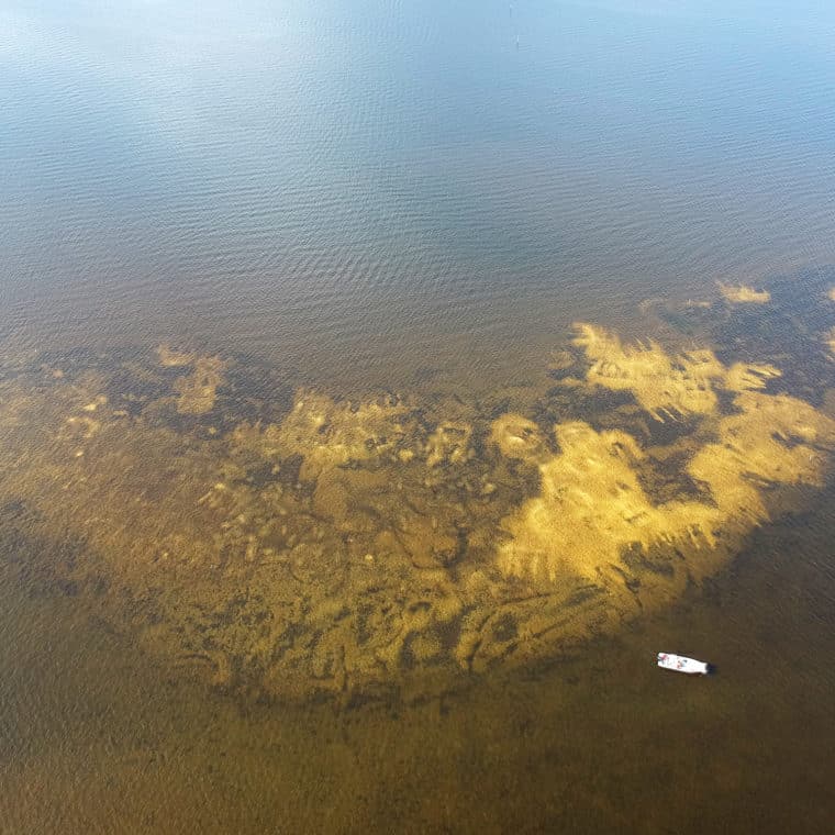 aerial shot of sccf restored oyster reef in San Carlos bay near sanibel and Cape Coral