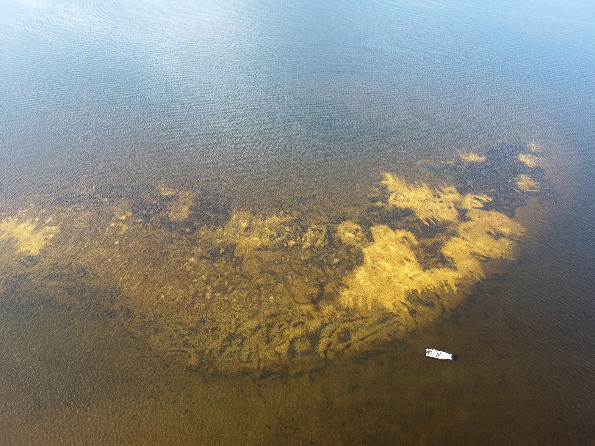 aerial shot of sccf restored oyster reef in San Carlos bay near sanibel and Cape Coral