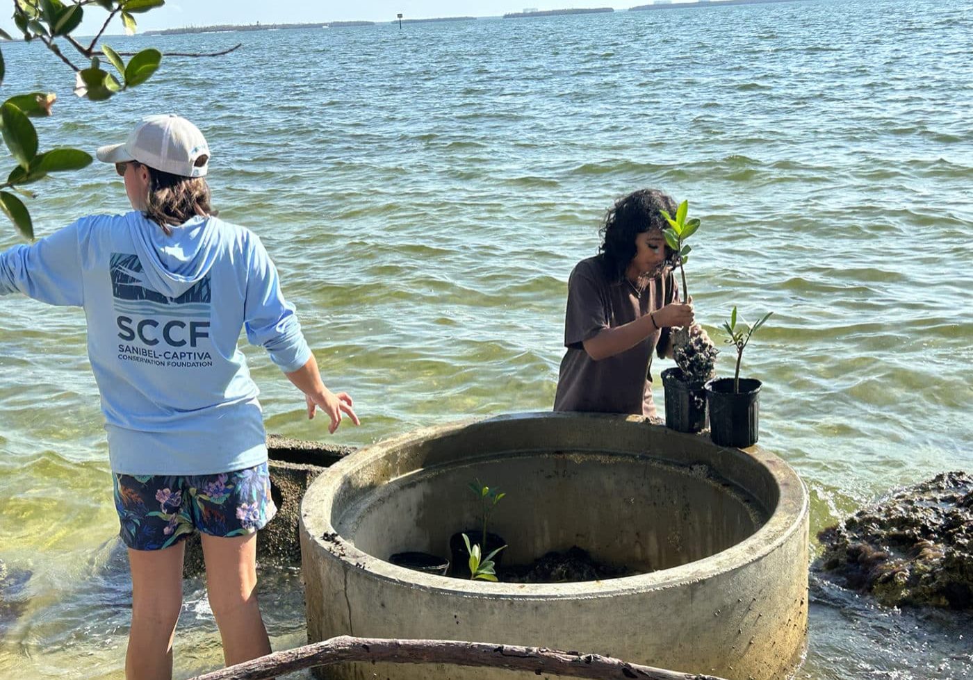 child and staff member planting mangroves