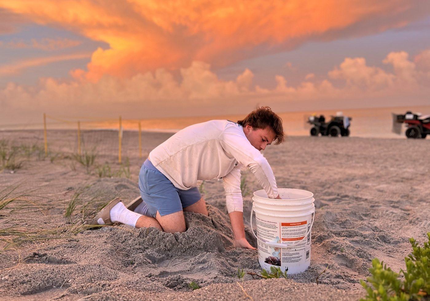 captiva nest relocation sea turtles