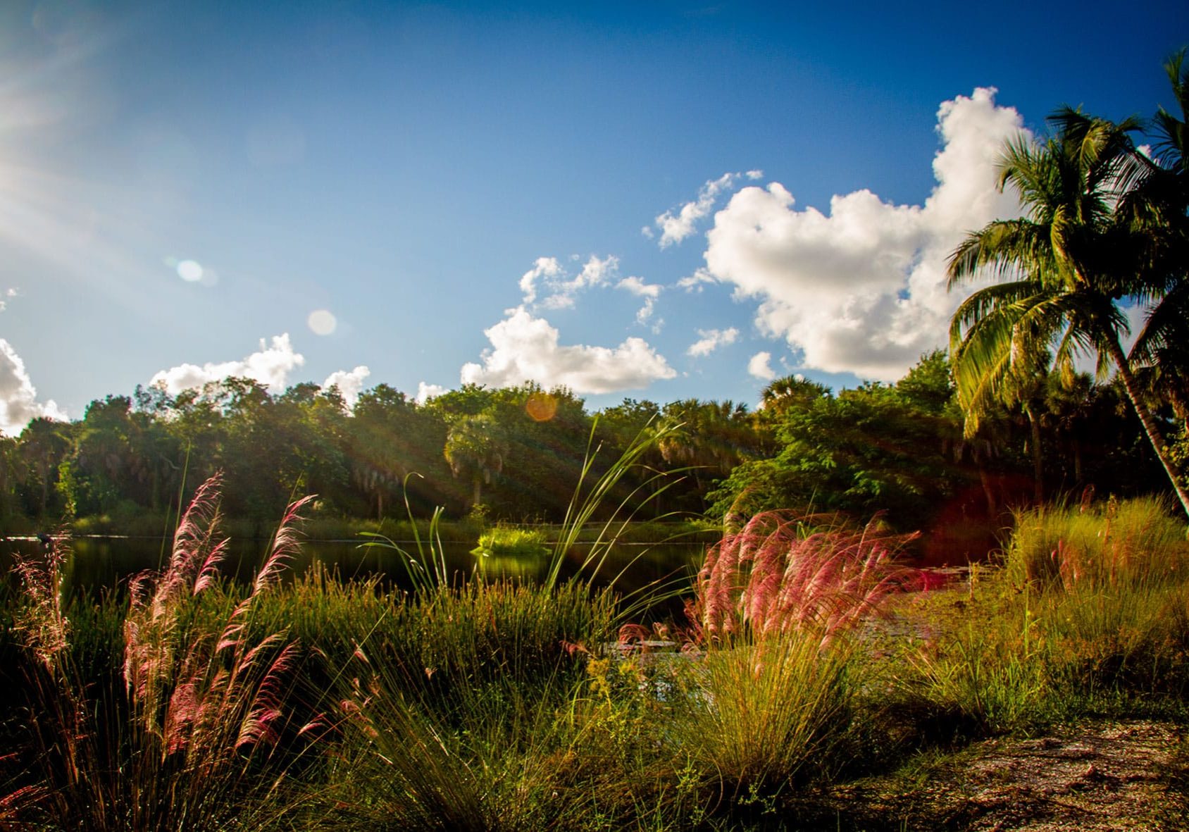Devitt Pond On Shipley Trail