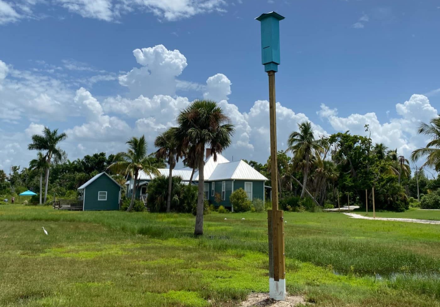 Final Bat House Crop 1600