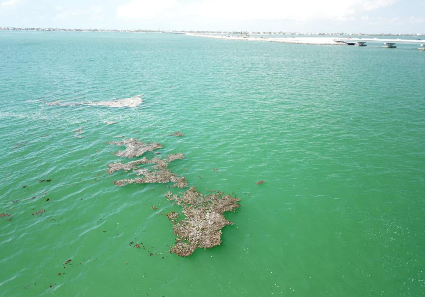 Large Mats With Causeway May 2025 Resize