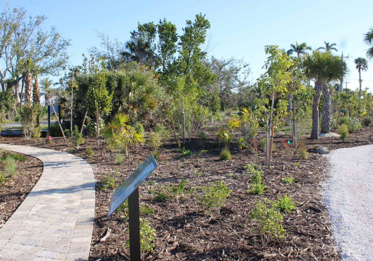 Main Photo Puschel Resize Crop