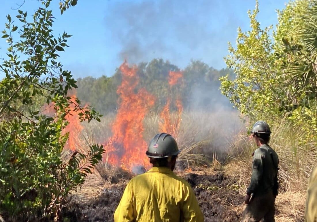 PRESCRIBED BURN UPDATE 1100x825