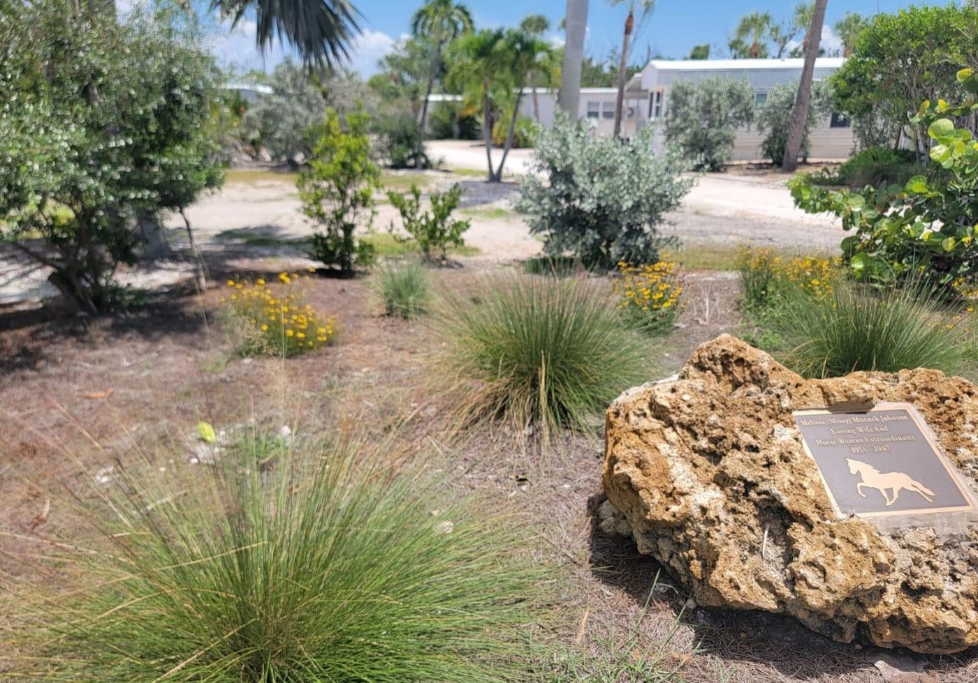 Periwinkle Park Spartina Resize