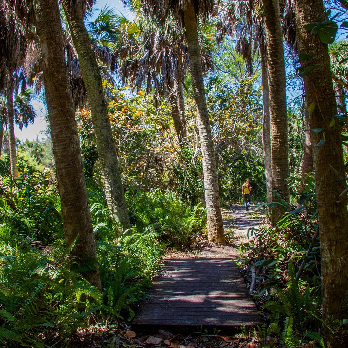 picture of sccf trail