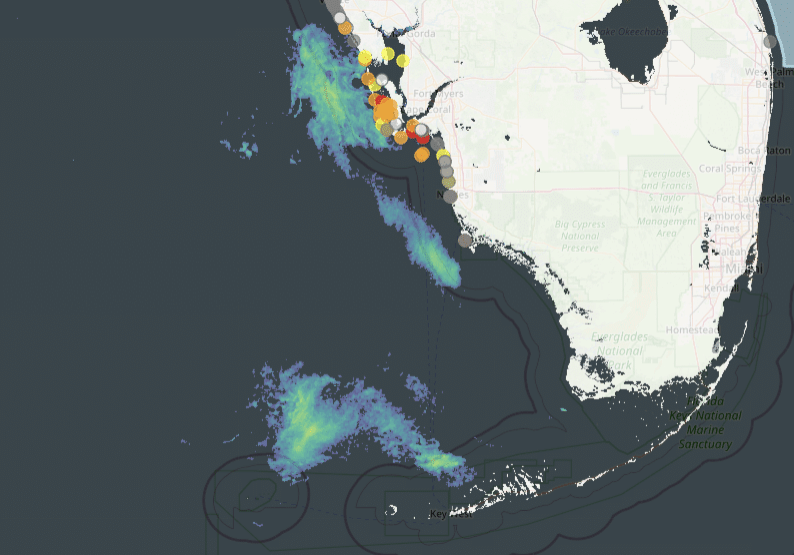 Red Tide Composite 2.11.25