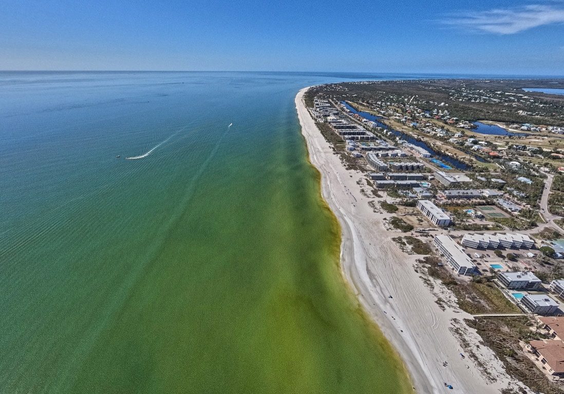 Red Tide Along Shore Sanibel