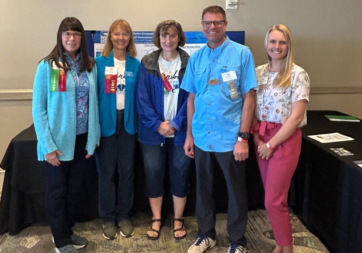 SCCF ML Shell Show 2025 Crop