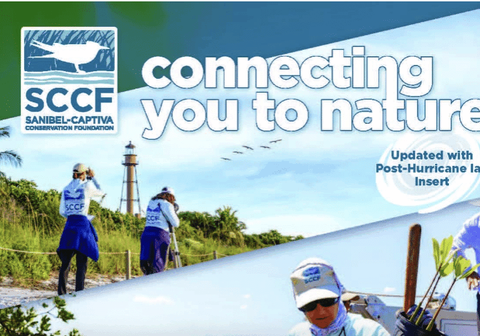 Screenshot 2023 06 14 At 3.00.02 PM