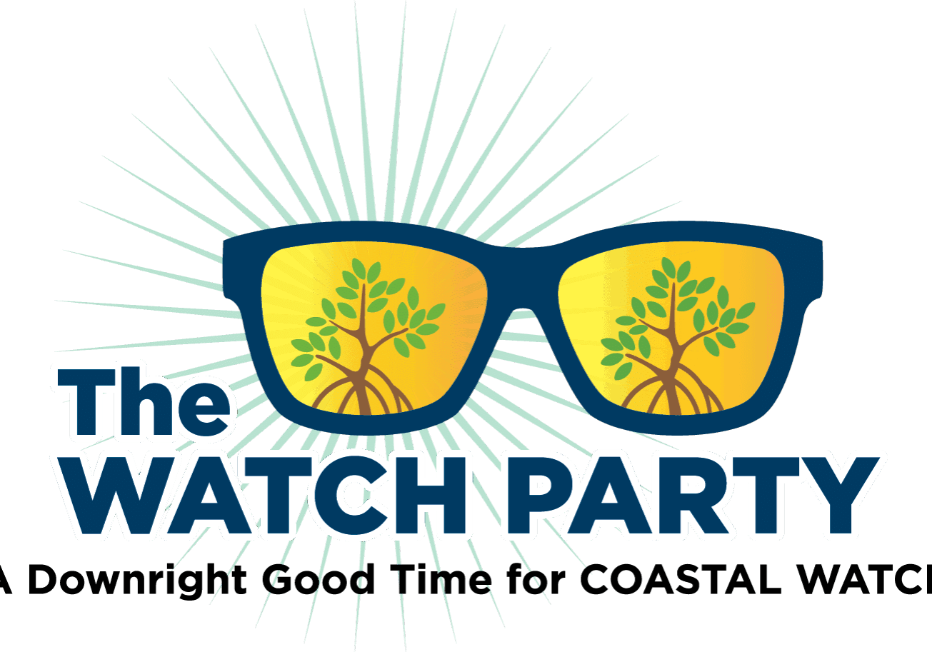 The Watch Party sccf