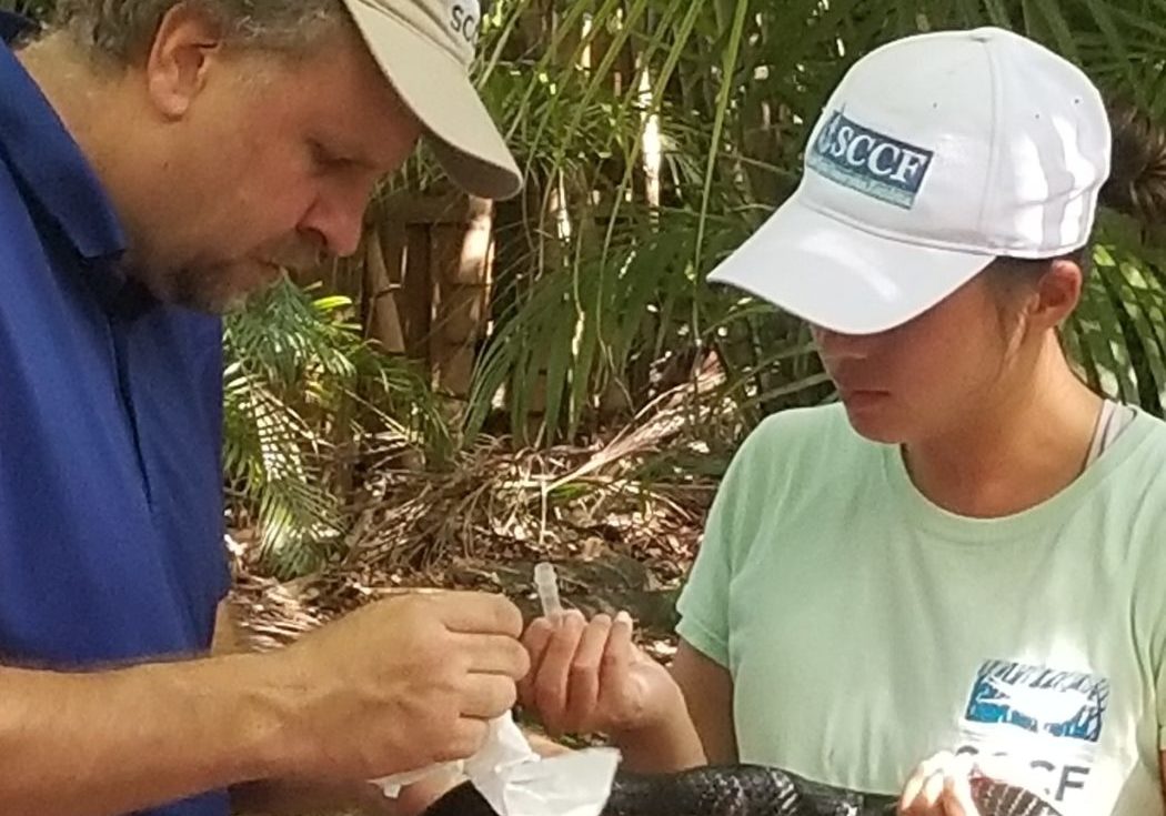 arfndv2k5xx5dahdk7ed