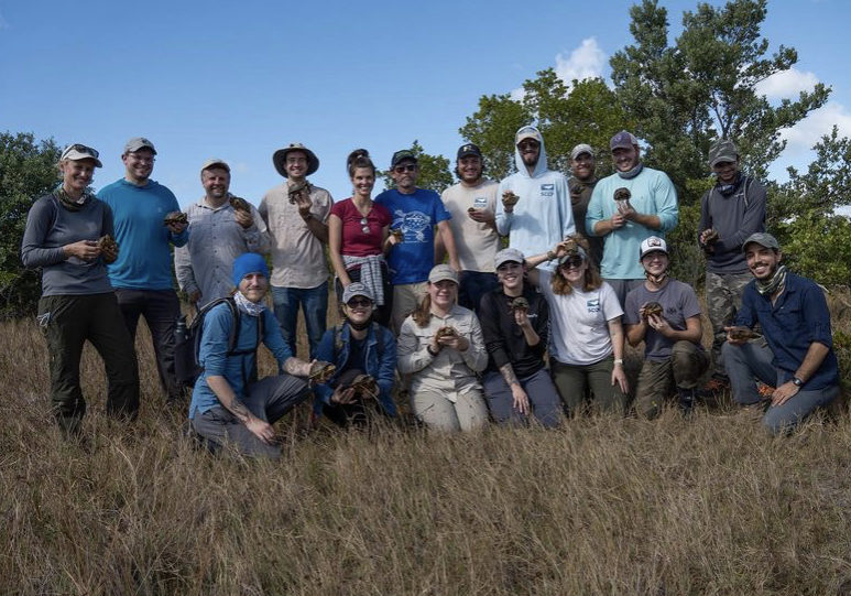 bgefap1o0zd0plttscxw