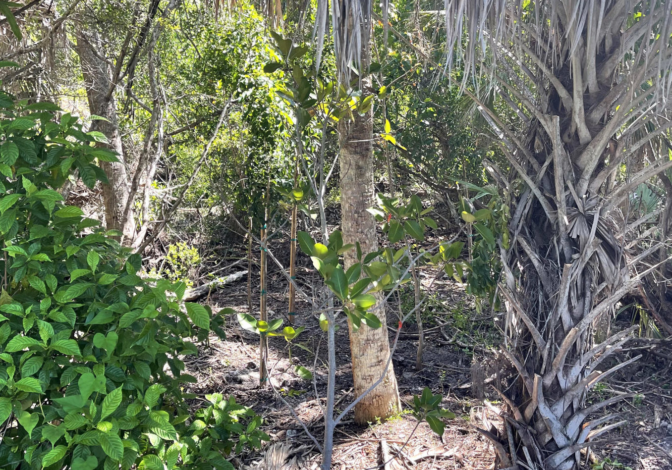 btk9q6juybserfxckprg