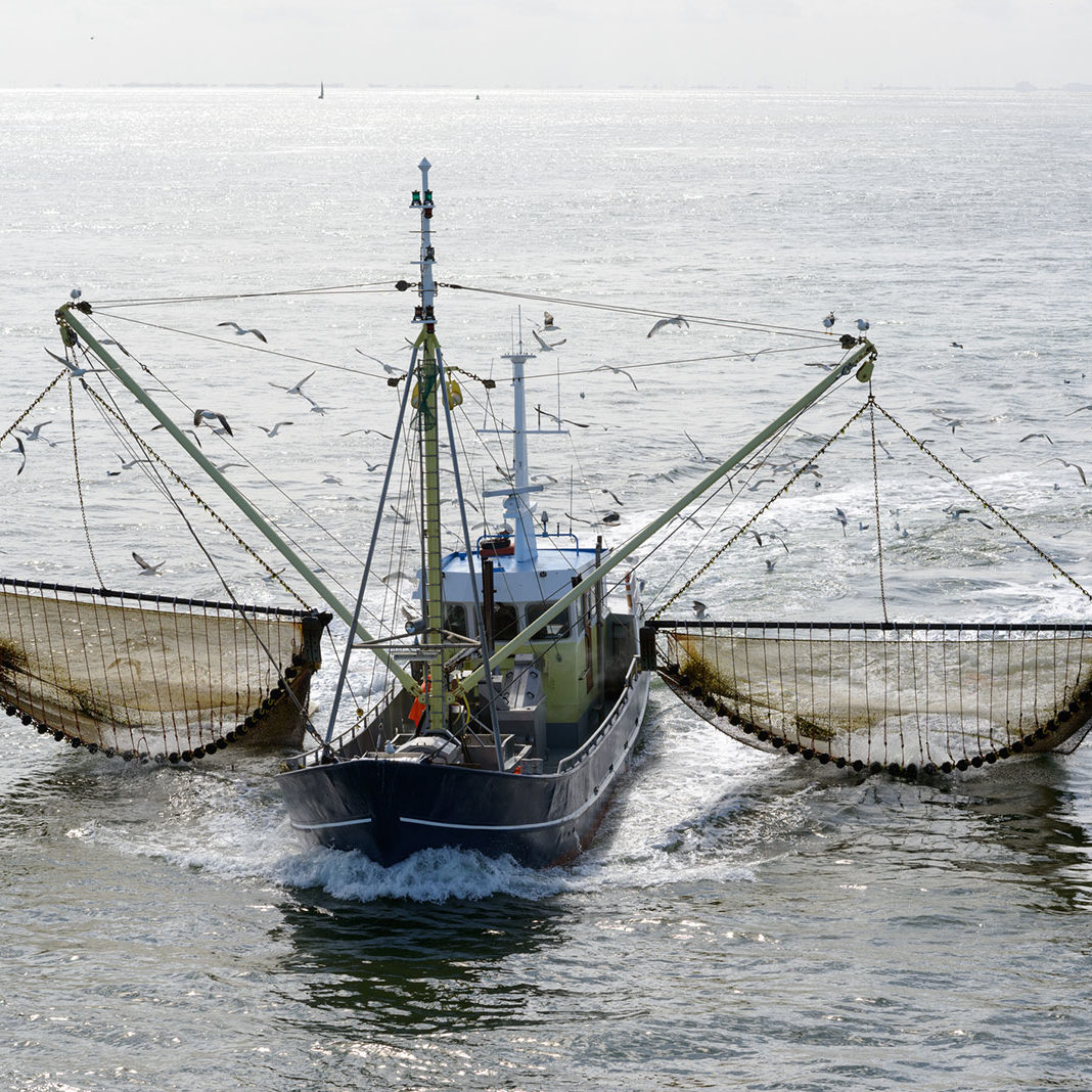 Commercial Fishing
