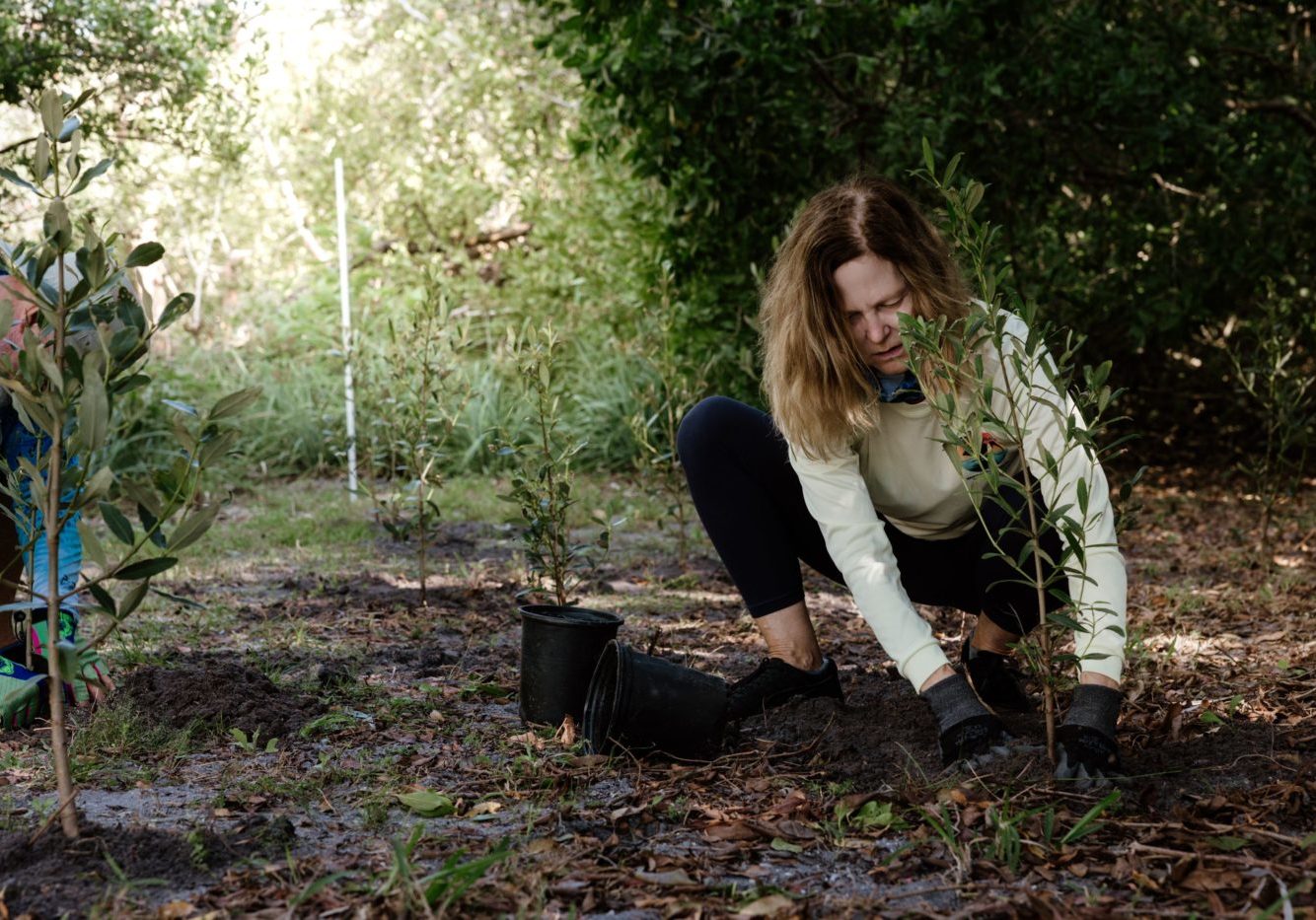 dmxepxn9n0miiiz9wbvl