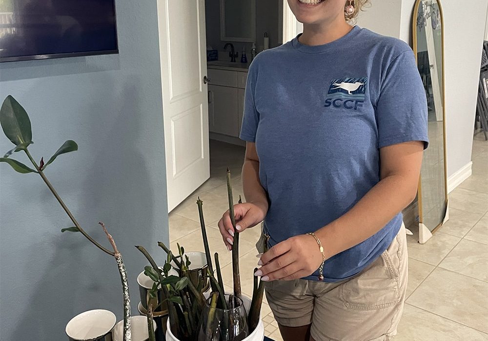 Earth Day Swap And Shop Scyp