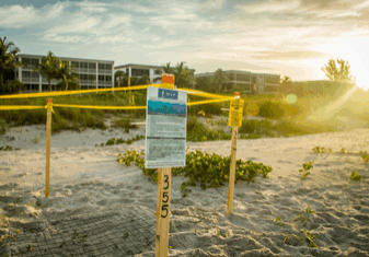 eeamtudgjskusmvoeacq