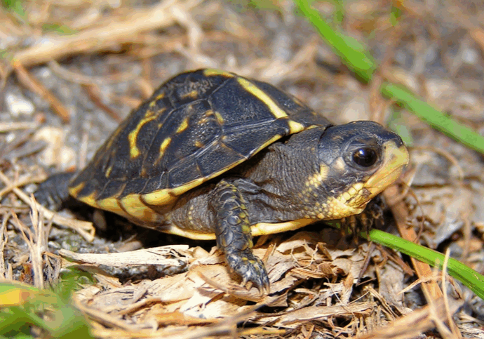 fbarxvd5xncalsbyzutx