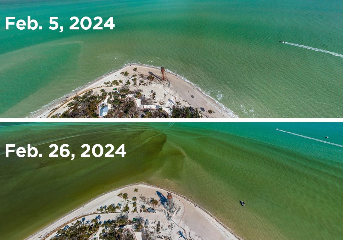 lighthouse comparison