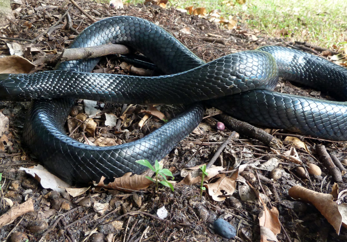 fzgnzzqfca0qkjghdunh