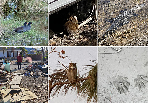 j3o6wwgykgw9bhcmrw7t