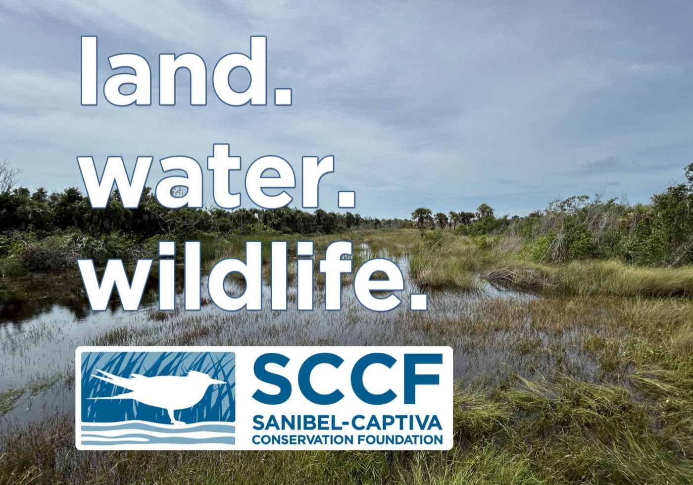 Land Water Wildlife Podcast Graphic Template Standing Water