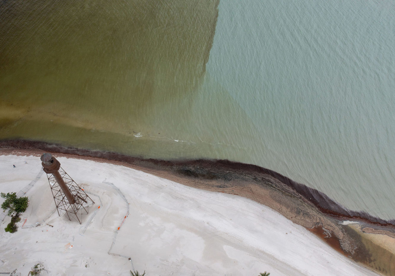 Lighthouse Aug 7 2024