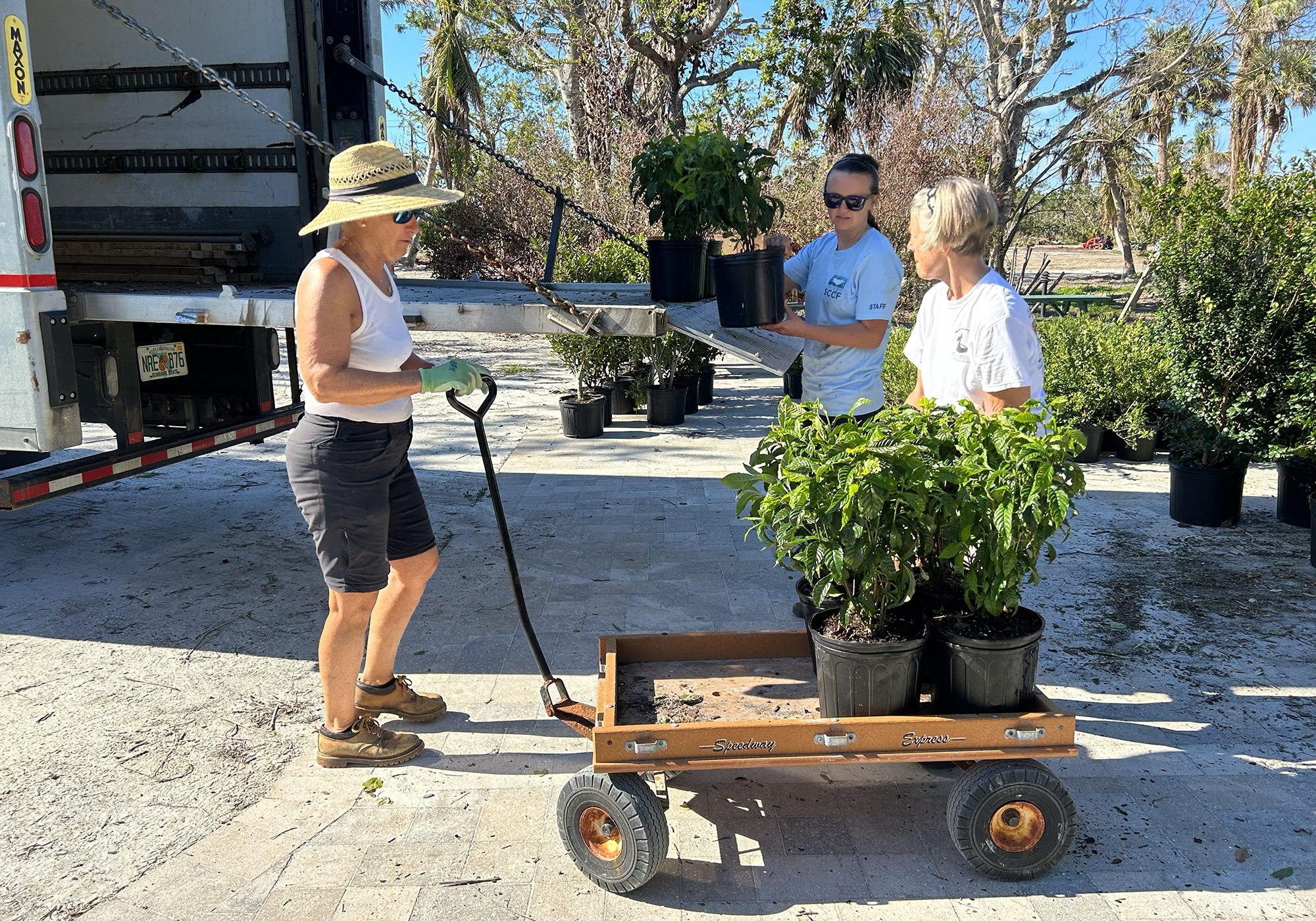 someone buying plants