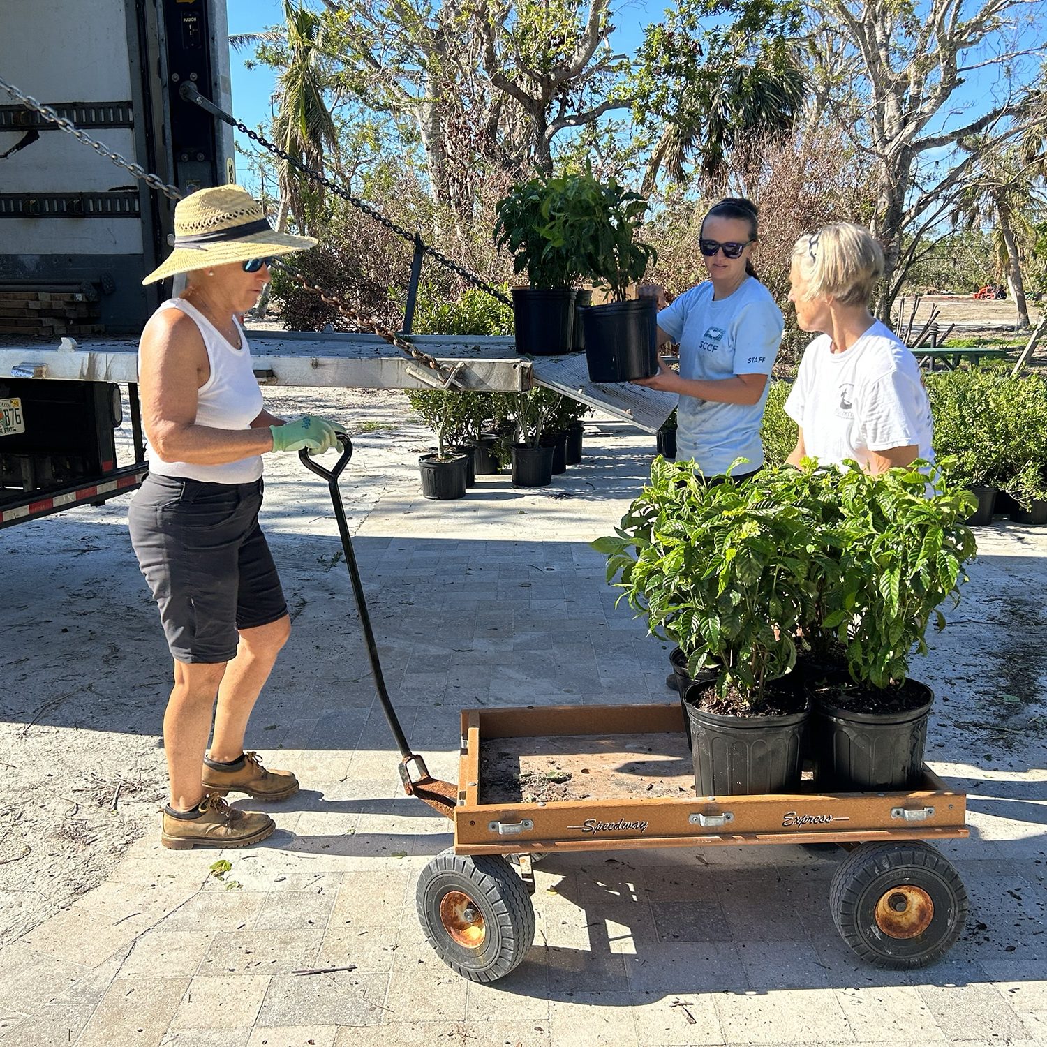 someone buying plants